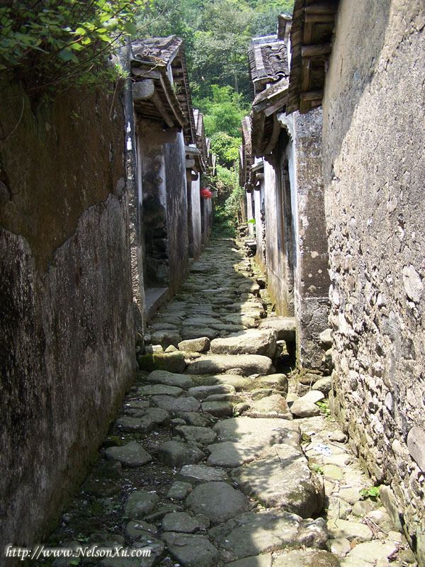 江门-石头村 · 205