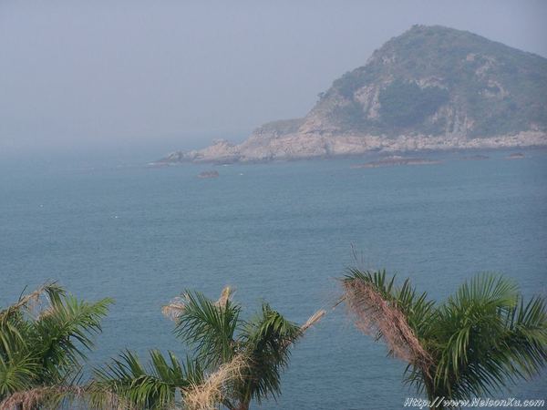 三门岛 · 319