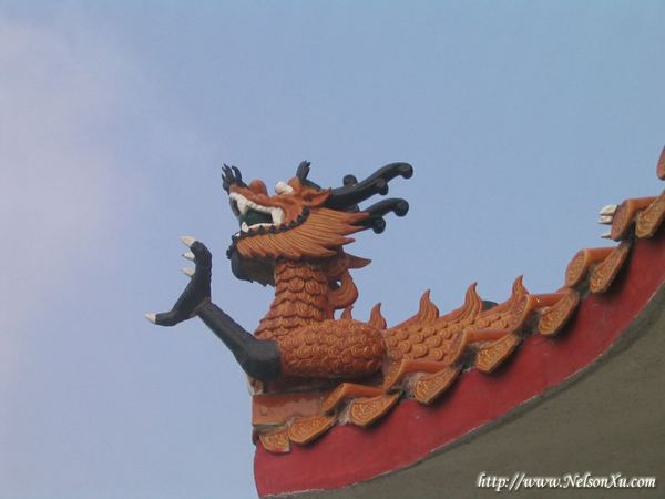 东澳岛 · 331