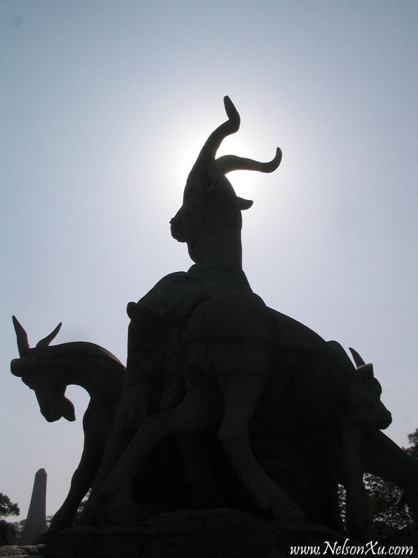 广州 · 513