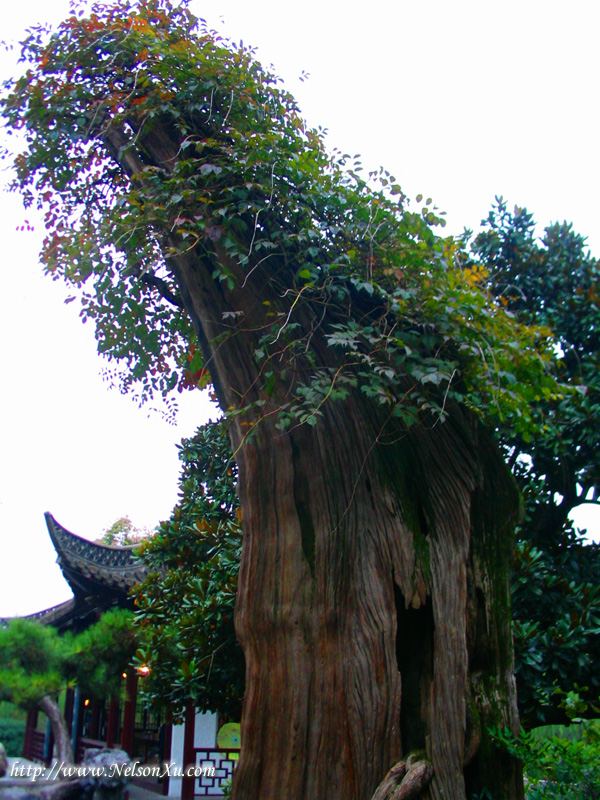 扬州 · 587