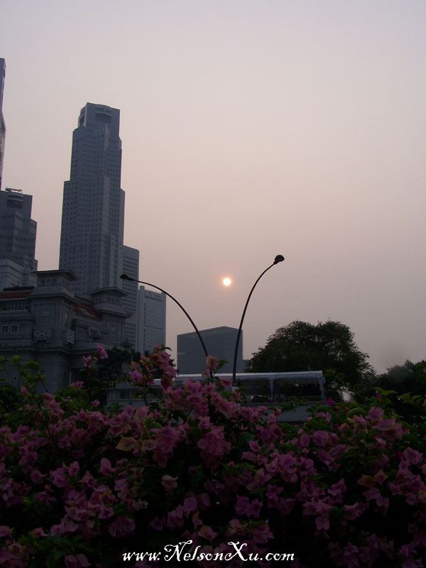 新加坡 · 637