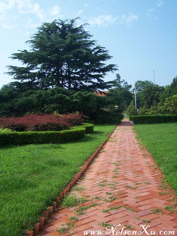 青岛 · 1035